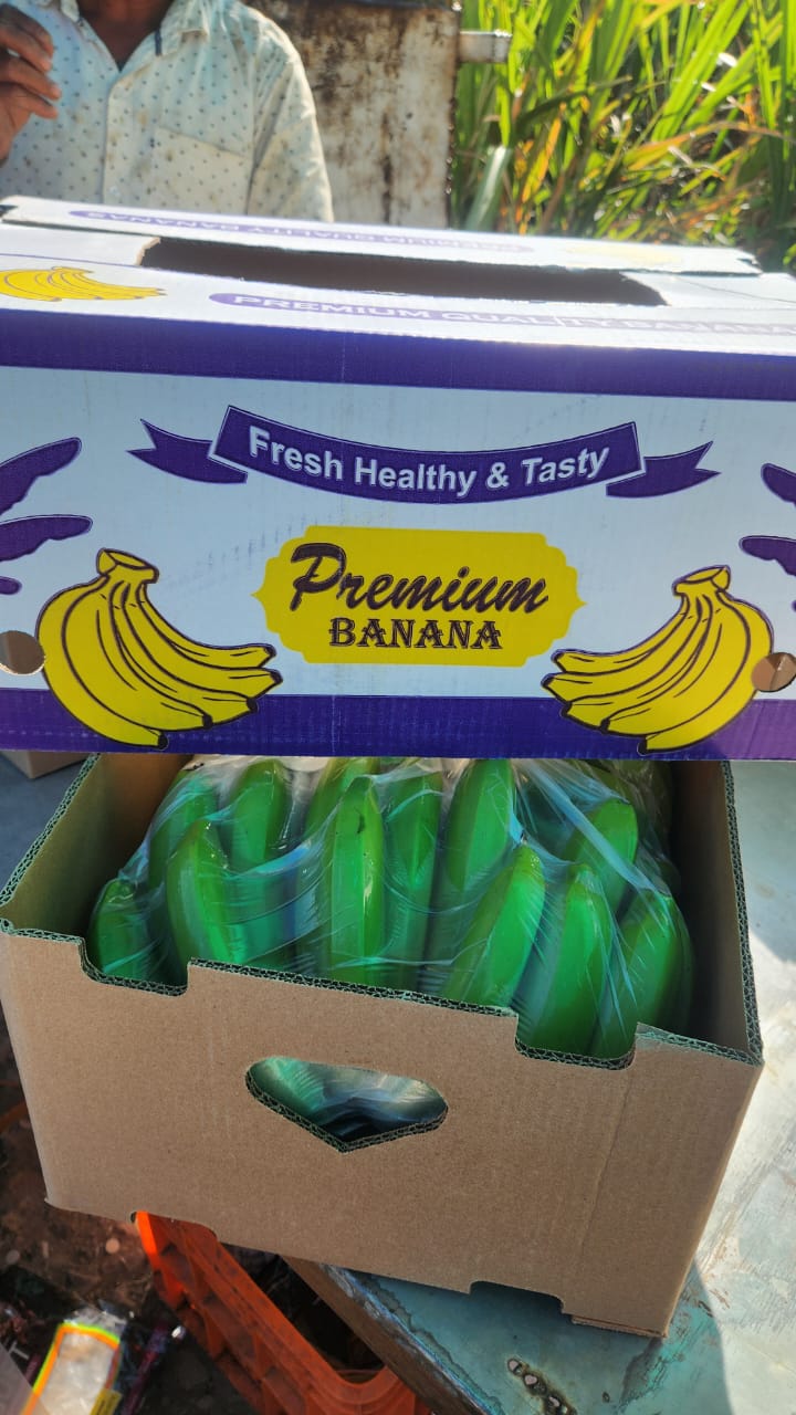 Quality Bananas
